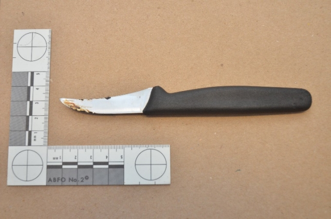 A second knife was located in the northeast corner of the parking lot at the bottom of a large snowbank, in the vicinity of the Complainant’s abandoned knapsack. This knife was a paring knife with a 5.9 cm metal blade and a 10 cm handle.