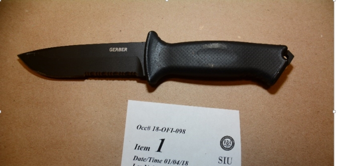 The two knives located at the scene.