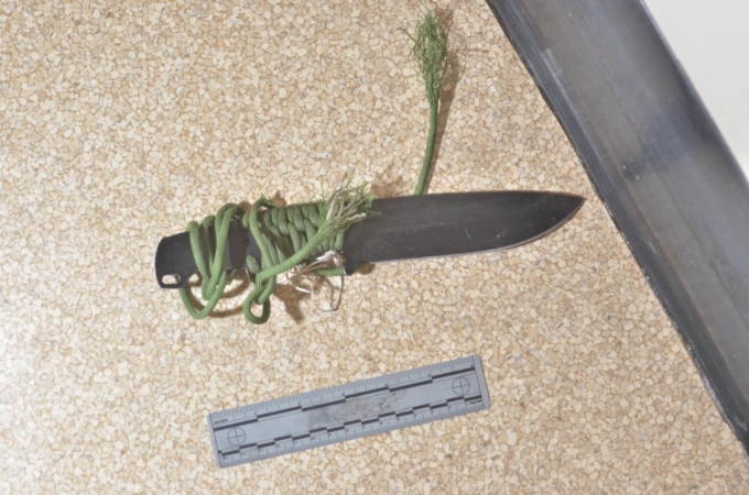 The knife recovered from the scene.