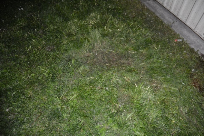 Du sang maculait la zone renfoncée du gazon 14 étages sous le balcon de la plaignante.