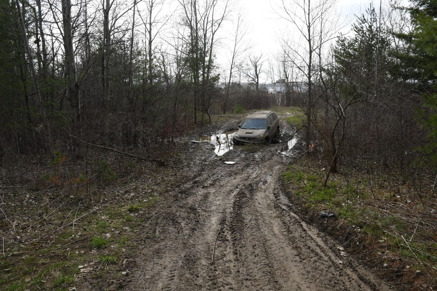 Figure 1 - The wooded area where a black Toyota RAV4 was found partially submerged in the mud.