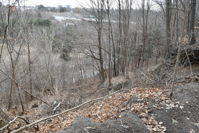 Figure 2 - The path scaled to enter the ravine.