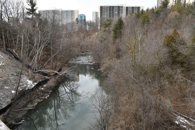 Figure 5 - The final area of the Don River where the Complainant crossed.  