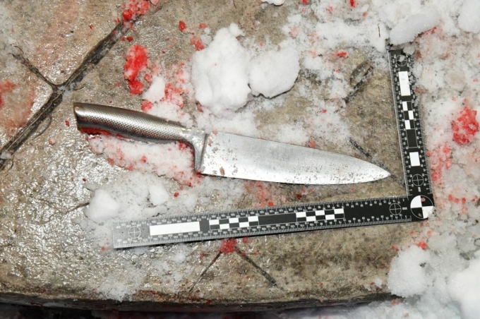 Figure 1 - The large silver butcher's knife located outside the residence.