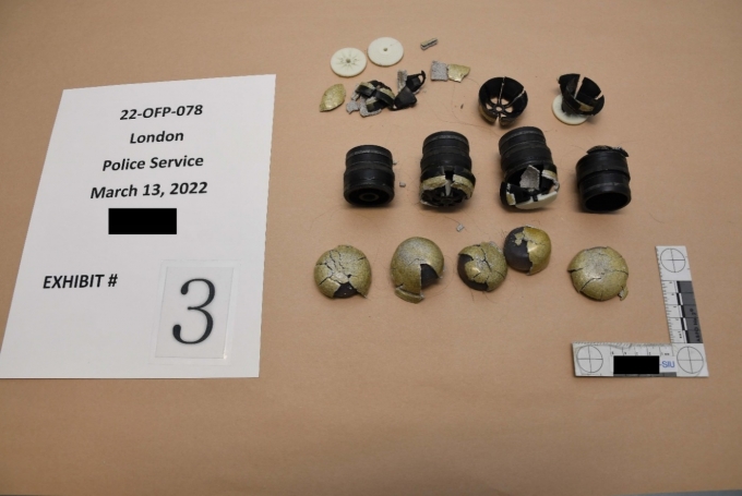  Figure 1 - Remnants of BIPs