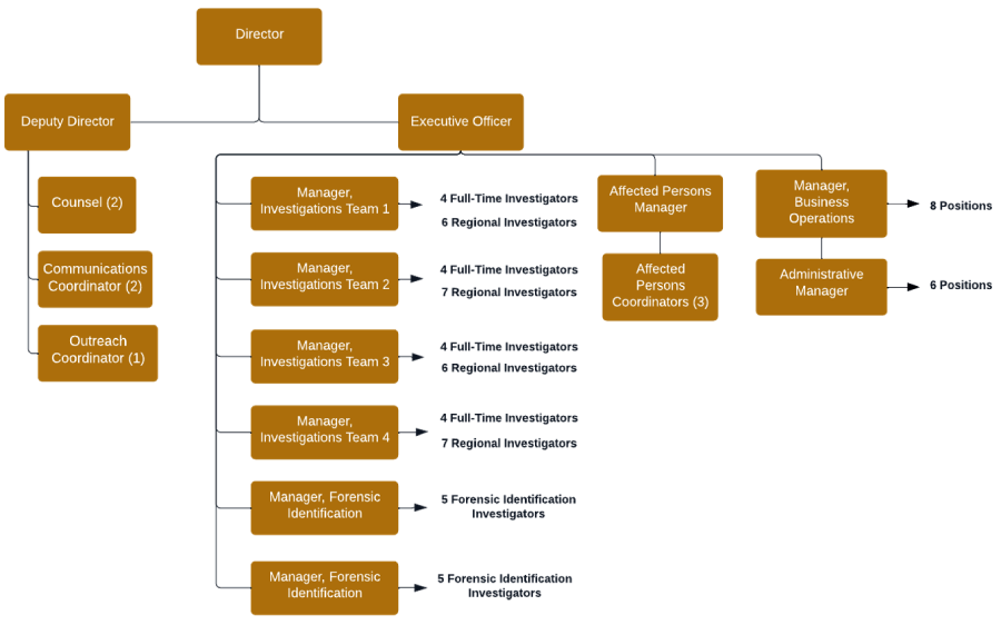 Flow chart showing the SIU?s organizational structure.