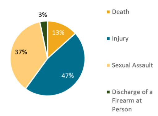 Pie chart illustrating total support provided to affected persons and broken down by case type: death cases represent 13% of the total support provided by the APP; serious injury, 47%; sexual assault, 37%; discharge of a firearm at a person, 3%.