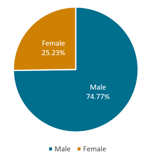Pie chart showing affected persons by gender: 74.77% of all affected persons were male and 25.23% were female.