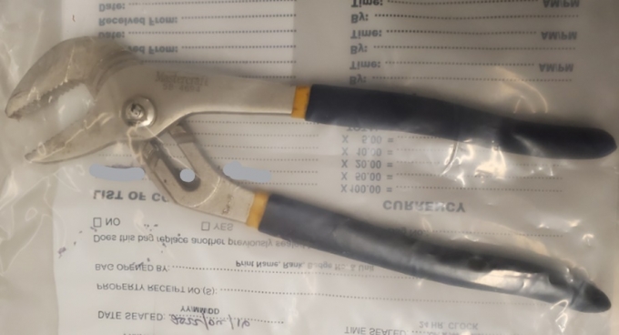 Figure 1 – Photograph of Mastercraft Channellock Pliers