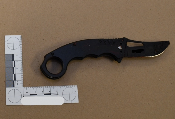 Figure 1 – The Complainant’s knife