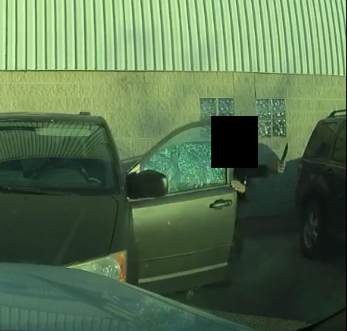 Figure 8 - Screenshot from video