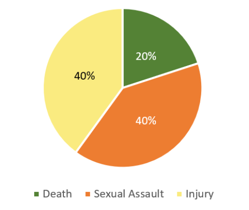 Pie chart illustrating support provided to affected persons and broken down by case type.