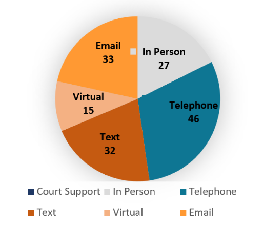 Pie chart illustrating types of court support provided to affected persons.