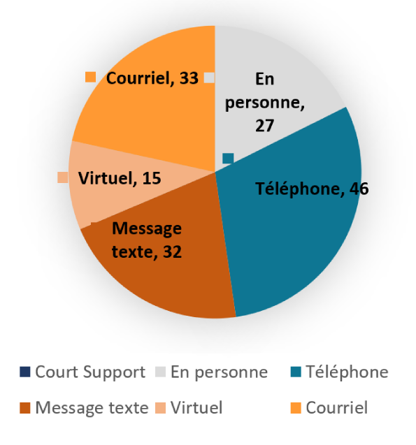 Diagramme circulaire illustrant le type de soutien au tribunal fourni aux personnes concernées.
