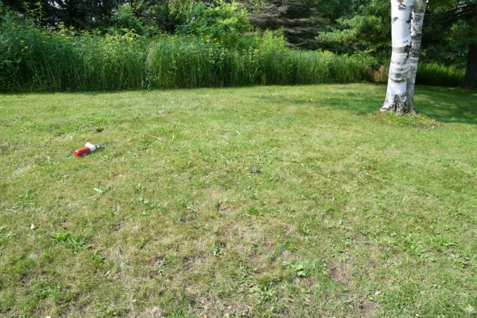 Figure 4 &ndash; Bois&eacute; d&rsquo;o&ugrave; est sorti le plaignant