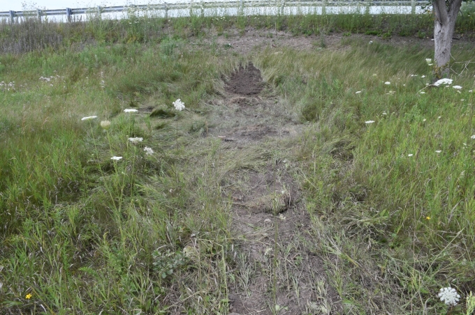 Figure 2 – Path of the cruiser in the grass area 