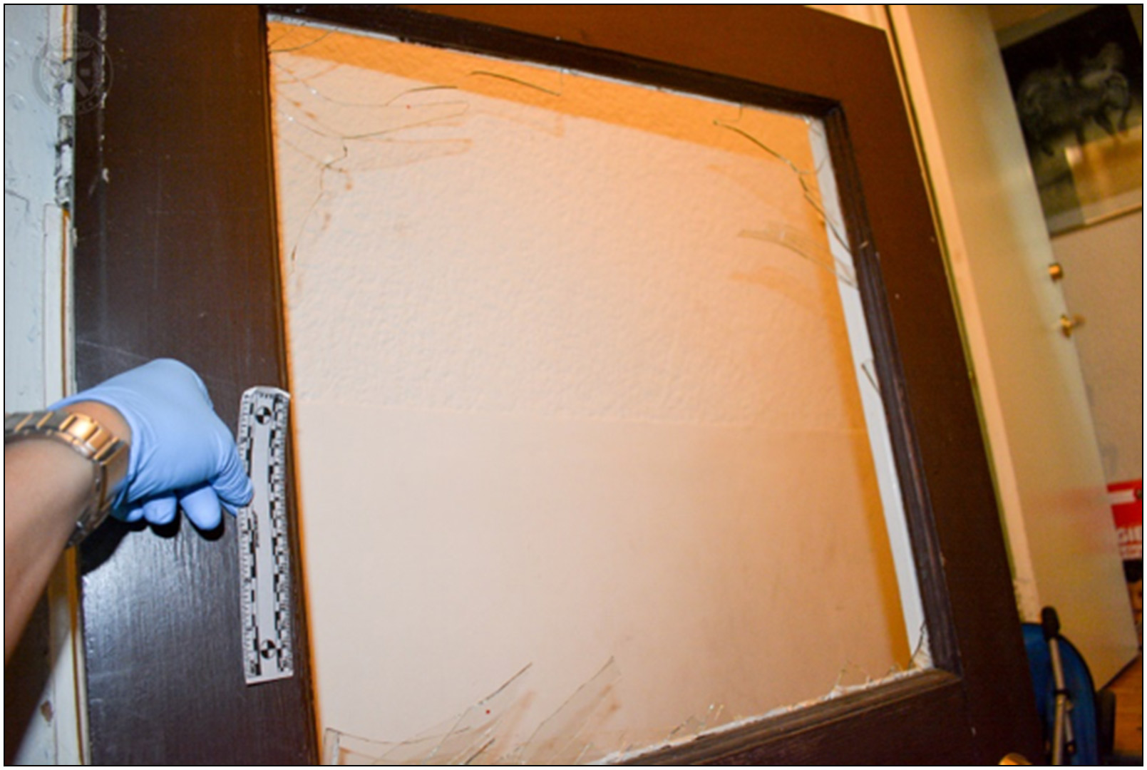 The damaged door through which the Complainant stuck out his head and hands.