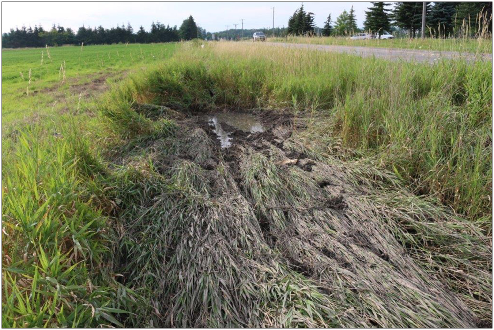 Photos de la Lamborghini endommagée sur les lieux
