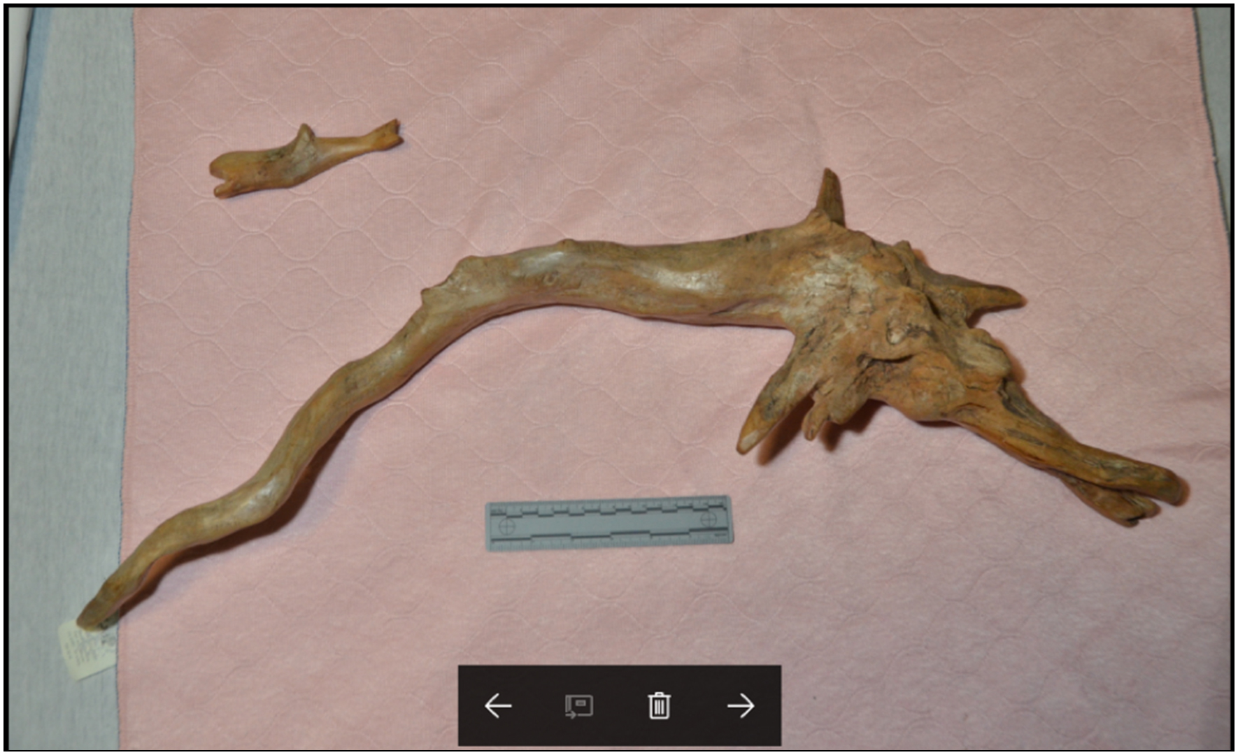 Les lieux de l’incident