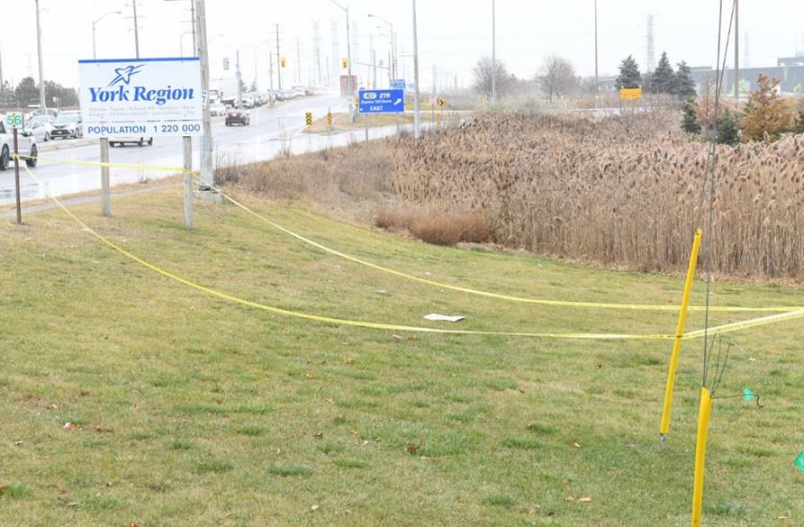 Figure 2 – The grass area where the Complainant was arrested