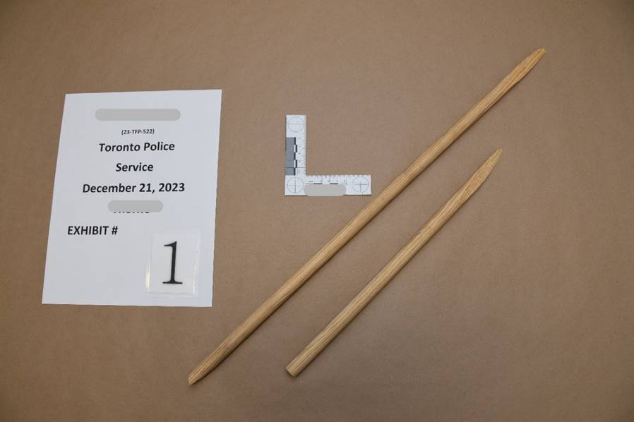 Figure 2 – Tiges de bois aiguisées