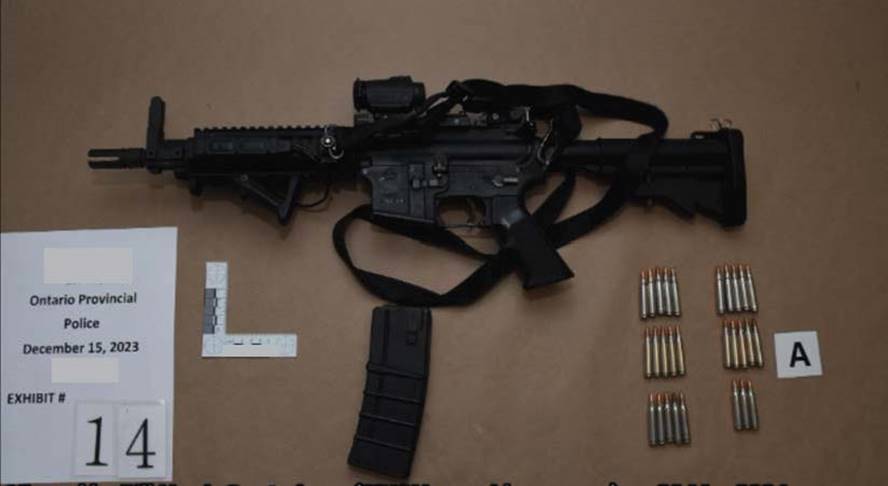 Figure 1 &ndash; Fusil Colt C8 de l&rsquo;AI no 1