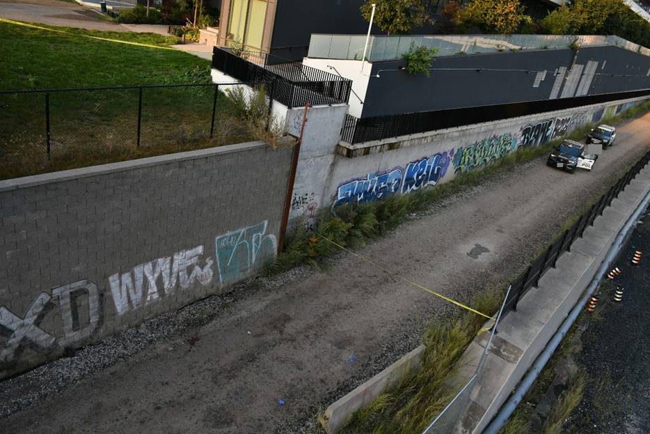 Figure 1 - The laneway and retaining wall