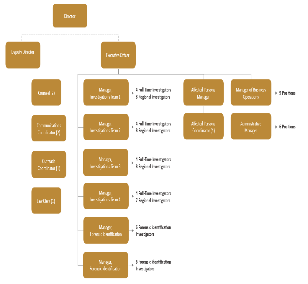 Flow chart showing the SIU?s organizational structure.