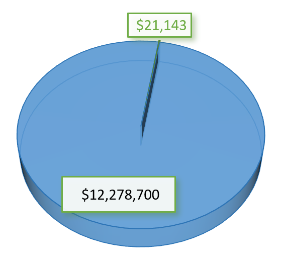 Pie chart illustrating that a small slice of the total budget is spent on staff training, specifically twenty-one thousand one-hundred and forty-three dollars on training compared to a budget of over twelve million dollars.