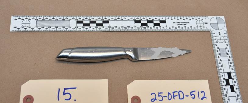Figure 2 &ndash; Knife recovered at the scene
