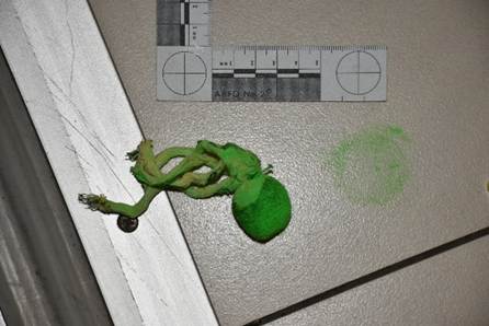 Physical evidence 